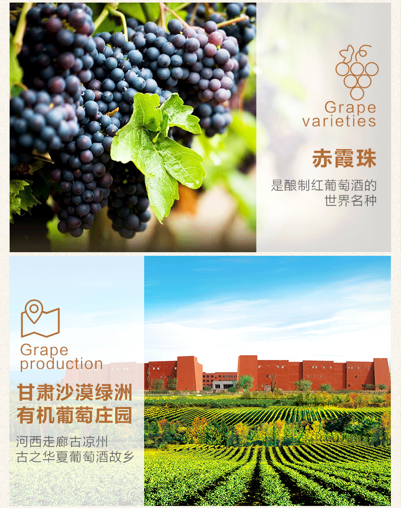 威龍沙漠葡園有機干紅葡萄酒