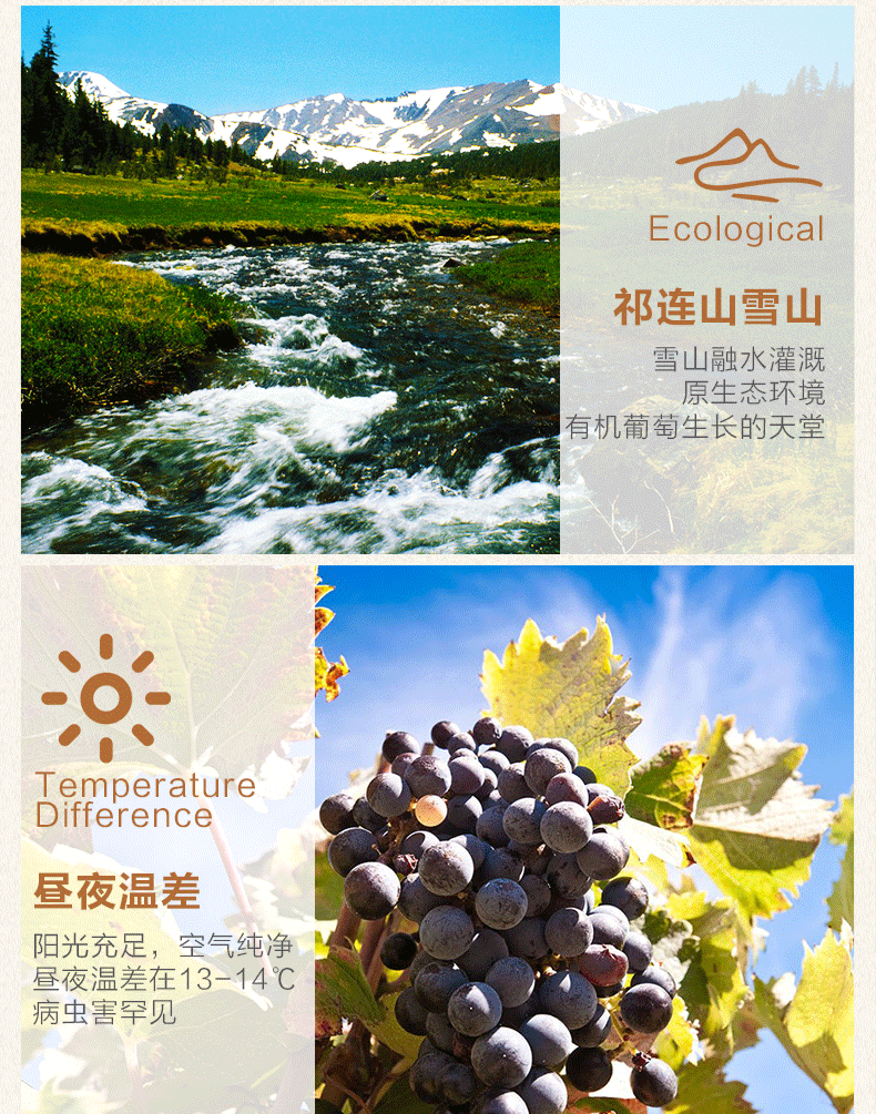 威龍沙漠葡園有機干紅葡萄酒