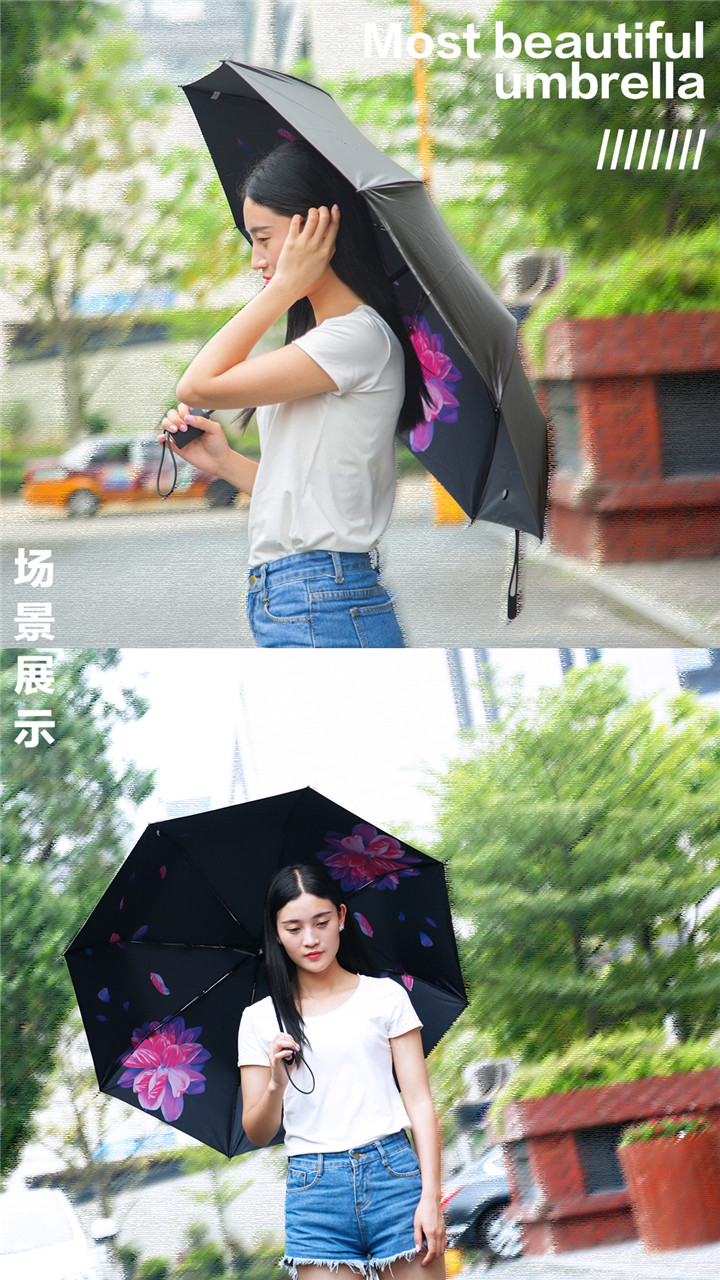 WT-U3自動(dòng)開(kāi)收雨晴兩用傘